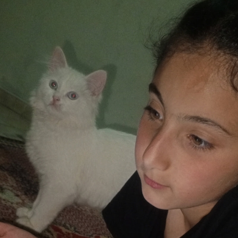 ليلاسlilas