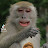 @mr.monkeyspeaks5172