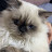 @زهراءسعد-و3ن