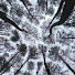 Z8v7kLw-geg-channel-avatar-hans_033