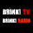 @BrinkTVShow