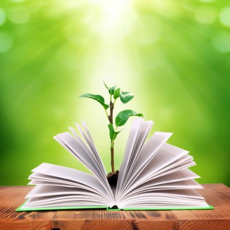 Bihar board smart study