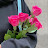 @مريماحمد-ت3س2و