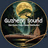 fDQVrIKdLKY-channel-avatar-Guzheng Sound