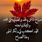 @apomazen4m70