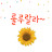 @lsy0909