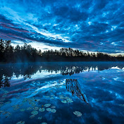 Blues’ Life 