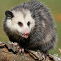 LuckyOpossum logo