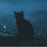 liaMgOGS_SQ-channel-avatar-Cozy Corner Space