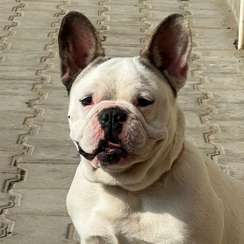 Sathi Journey साथी जर्नी