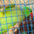 fowtOAaVfAA-channel-avatar-mitthukidunia 