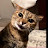 @adamn78's avatar