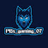 X2NxoqU1Q5g-channel-avatar-PBx_Gaming_07