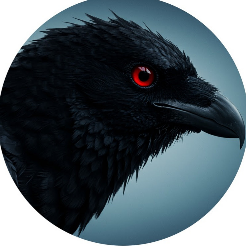 Hắc Điểu Review