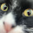 @Kittezdafirst