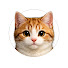 C31epSuPaVs-channel-avatar-Cat TV Gaming