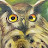@abiel4307's avatar