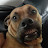 @ChadAfricaUnite Avatar
