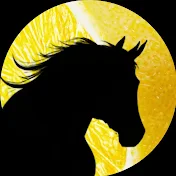 激絞り競馬