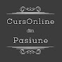 CursOnline din Pasiune logo