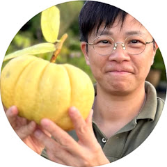 娛樂小奶媽 The Little Nannyアイコン画像