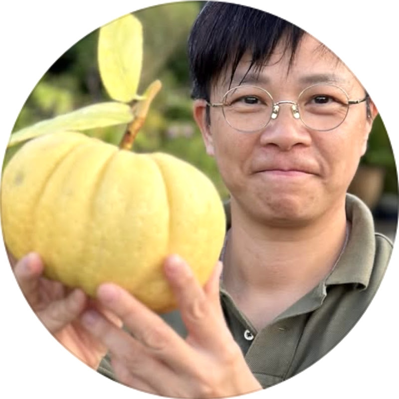 娛樂小奶媽 The Little Nanny Logo