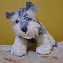 El sapo Lucas