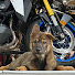 9lpoXKeyWA4-channel-avatar-energy moto ltd
