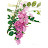 @bella_garden