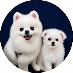 달콤이일기장