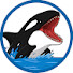 1Zwz-hIT22c-channel-avatar-Dolfo