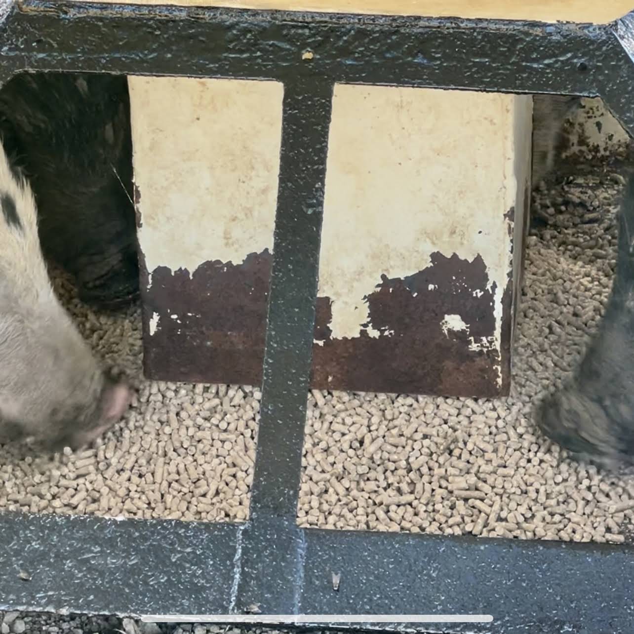 Post from Farmer Tyler Ranch