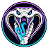 0-jiKvskQS8-channel-avatar-Cobrax