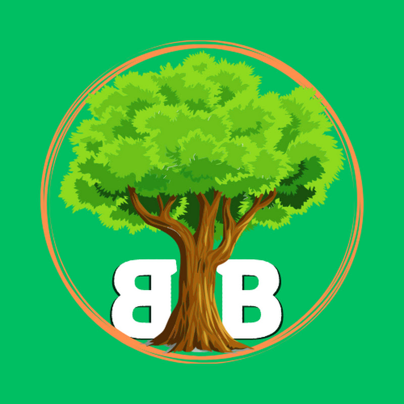 Basics For Beginners