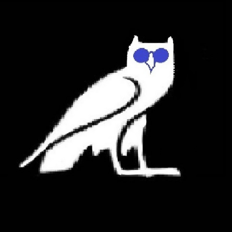Blindowl Videos