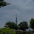 bXO_ri8M_-c-channel-avatar-daily japan 5.6.8