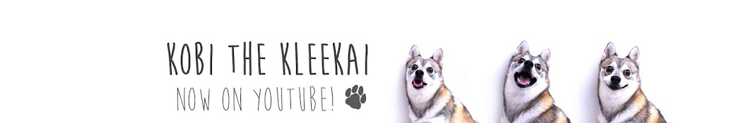 Kobi the Alaskan Klee Kai YouTube channel avatar