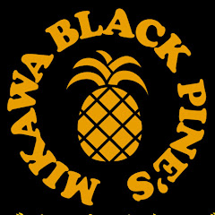 卓球ブラックパインズ YouTube店