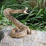 q80I91g9pkY-channel-avatar-pakosnake