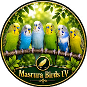 Masrura Birds TV