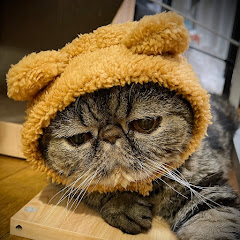 大人のガチャ活🐾りゅあ。