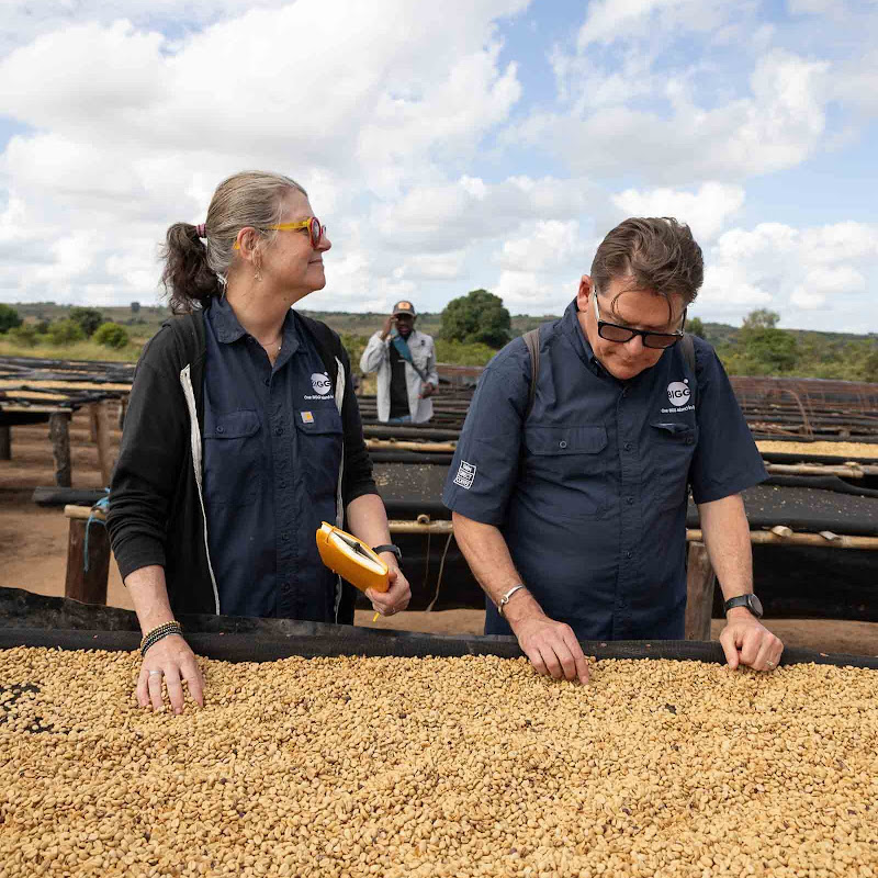 One BIGG Island In Space