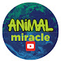 Animal Miracle logo