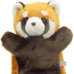 アライぐまアイコン画像