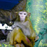 P9MYpblmToc-channel-avatar-Christian 