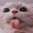 @Nya_Ooong