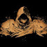 ZjL0e66JpjI-channel-avatar-Sandman of Terra