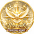 q_ZO5mX6tCY-channel-avatar-Heavenly Direction Spirit