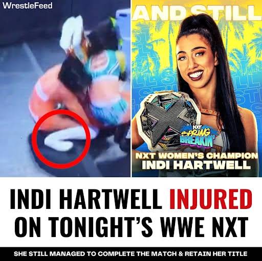 EF0FhCrZeZmuj_hni2OslGHwqXL-yU4RS9PFOwX7uFmNEbJWRhXGd92XRL36x8j94OABsHFt3Akv=s1024-nd-v1