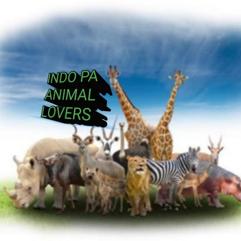 Indo Pa animal lovers 